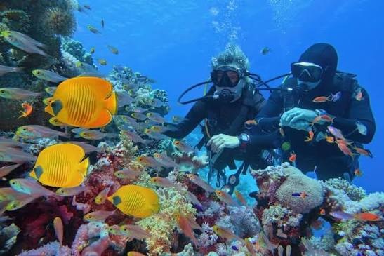 Zanzibar tour experience