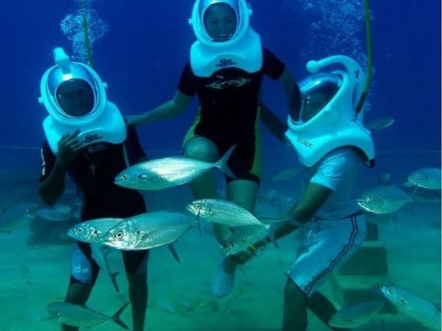 Zanzibar tour experience