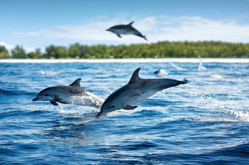 Zanzibar tour experience