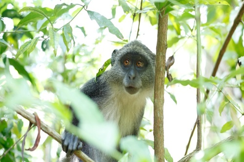 Zanzibar tour experience