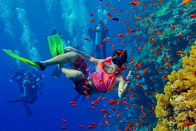 Mnemba Snorkeling