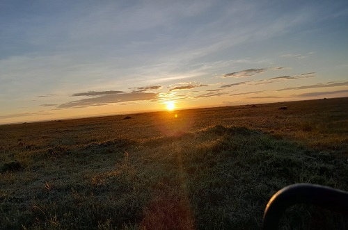 Sunset Cruise – Michamvi